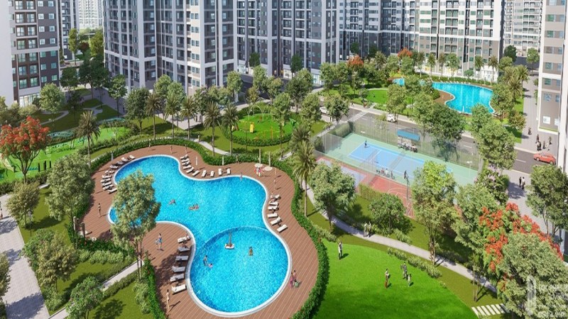 Hồ bơi tràn quy mô lớn